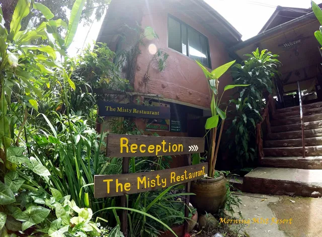 Khao Sok Morning Mist Resort
