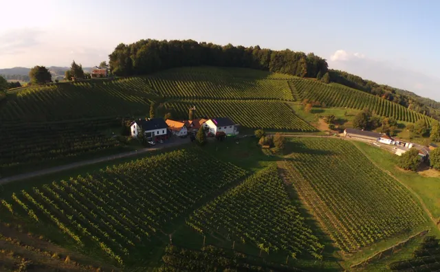 Weingut Dietl - Urlaub am Winzerhof