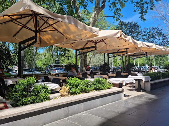 Caffè Cestia PLOOM STORE