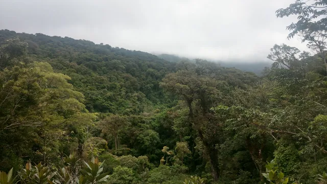 Parqueo Reserva Monteverde cloud Forest