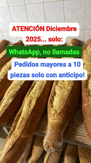 Birote Tradicional Antigua Central GDL