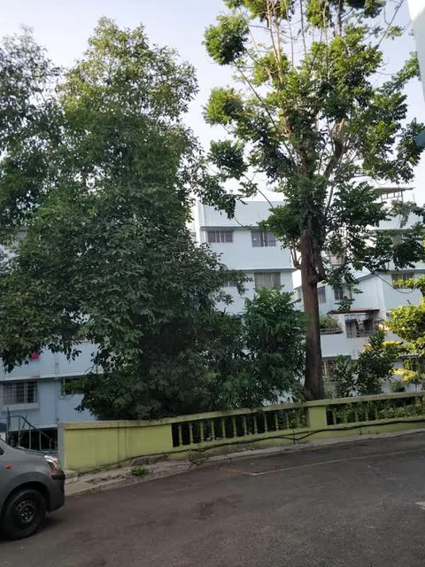 Damodar Vihar