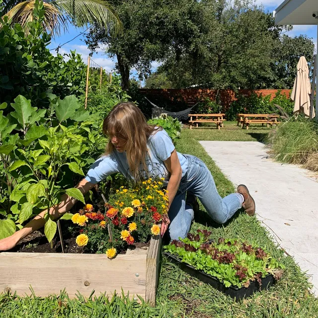 Little River Cooperative Culinary Plant Nursery & Garden Services