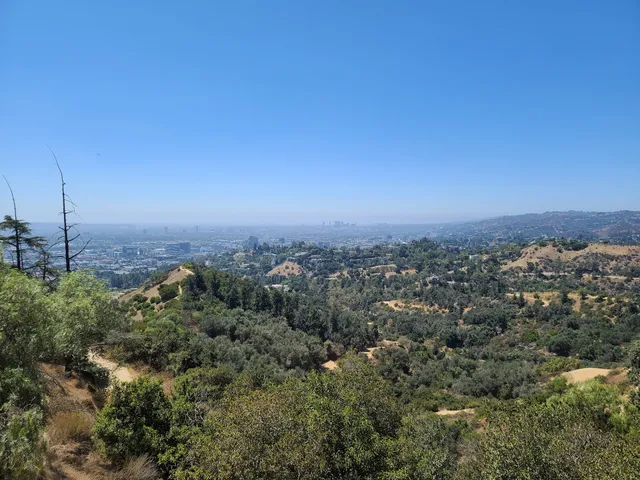 Los Feliz Heights Steps