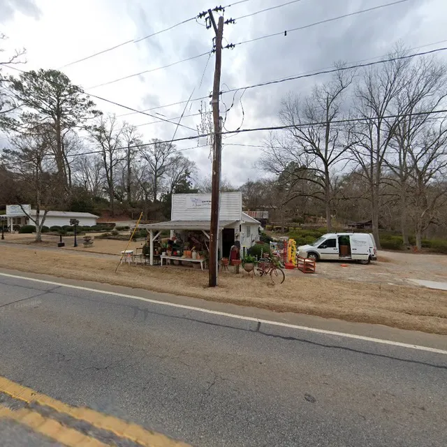 The Indian Paintbrush