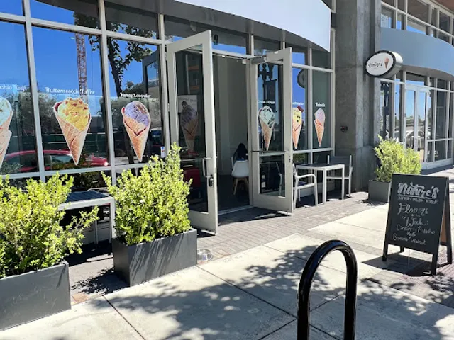 Nature's Organic Ice Cream