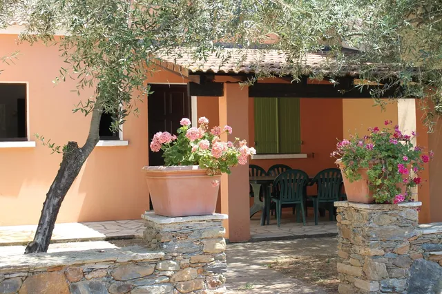 The enclosed olive trees