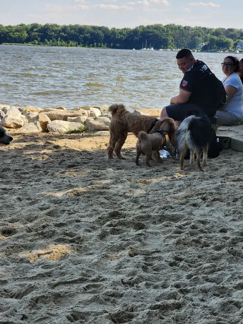 Quiet Waters Dog Park