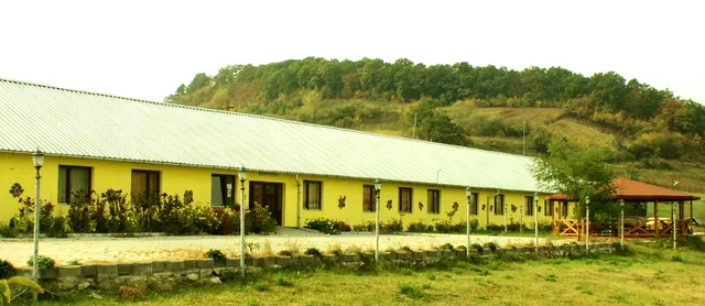 Hostel "Doua Salcii"