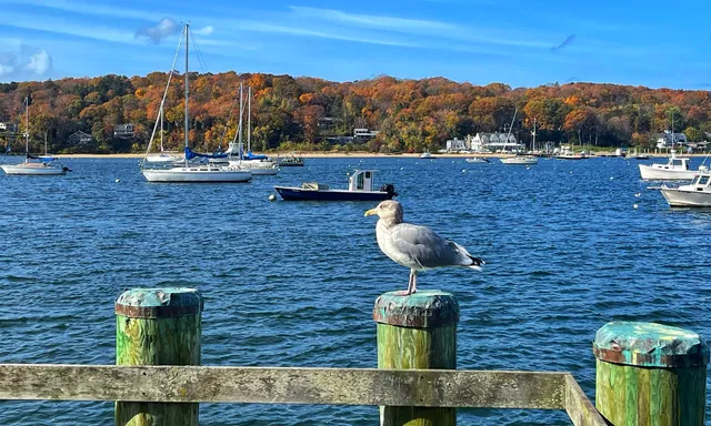 Northport Harbor