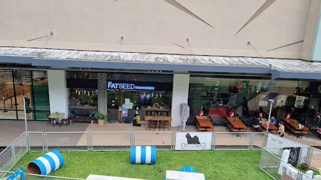 The Fat Seed Cafe + Roastery