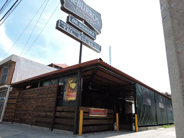 Ke Burros Percherones