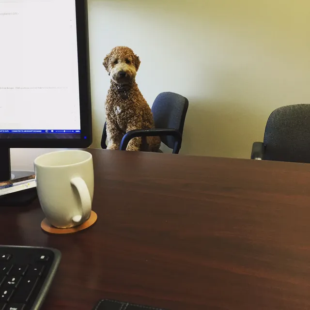 Sun Pacific Insurance Brokers