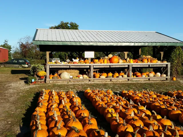 Pearson' s Melon Farms