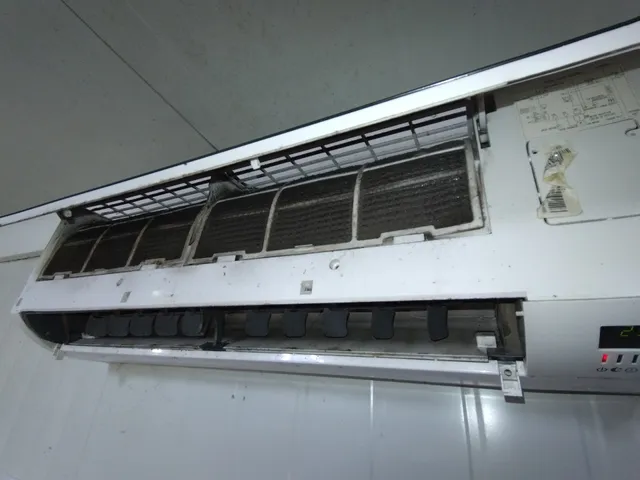 Salida Zona Libre | France Field