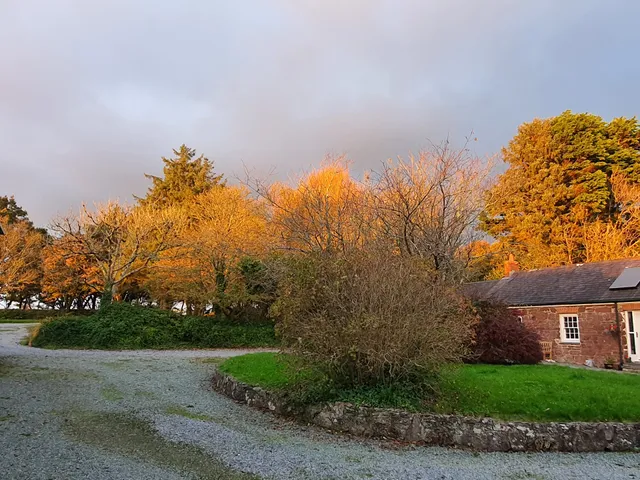 Rosemoor Country Cottages and Nature Reserve