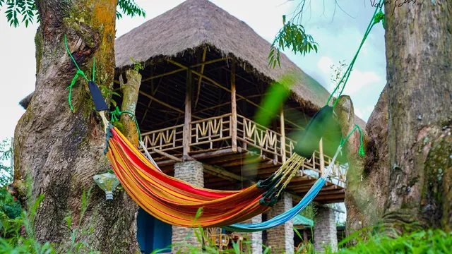 Kalitusi Nature Resort