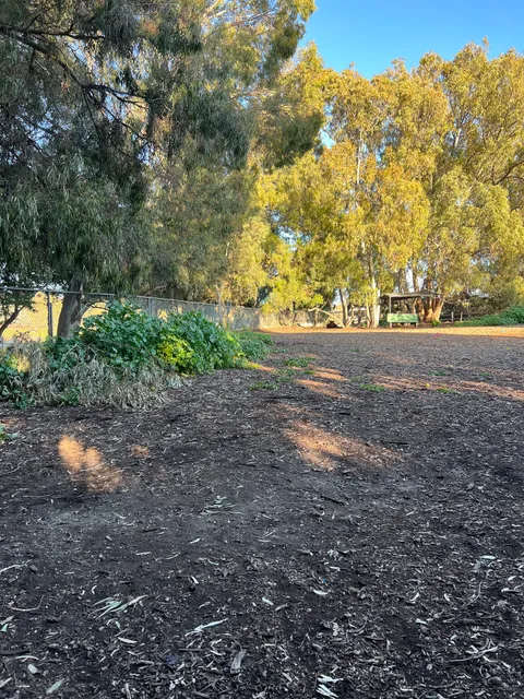 Central Park Dog Park