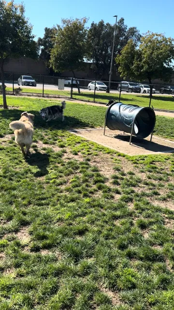 Fletcher Fetch Park