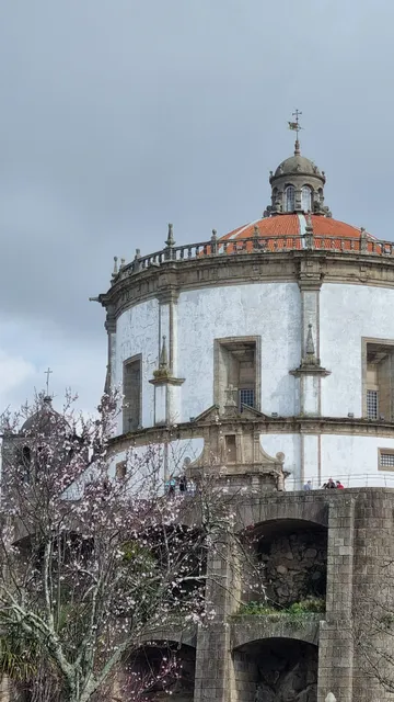 Ninho Jardim do Morro