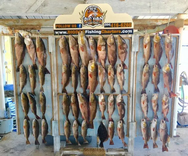 Big Dog Fishing Charters
