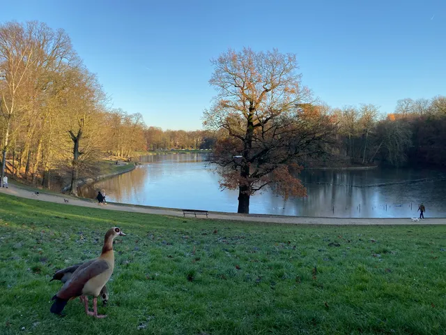 Lac du bois de la Cambre