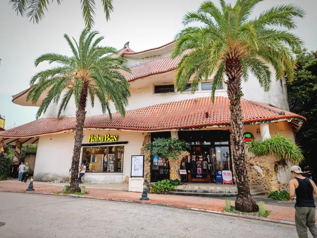 Okinawa T-Shirt Habu Box