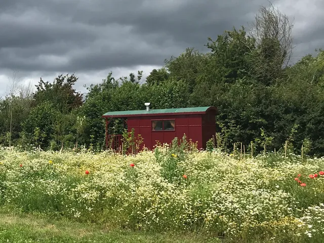 Cwtch Cabins & Camping