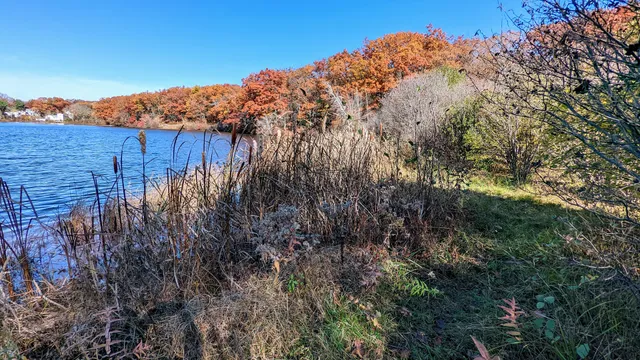 Jordan Pond Walking Trail