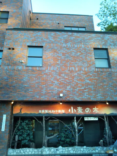 地粉麺皮房 小麦の木