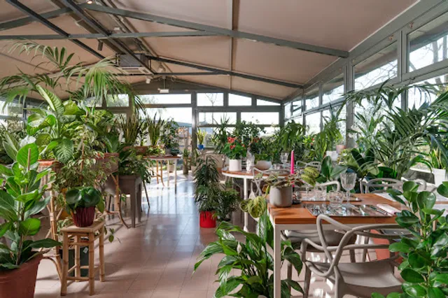 Le Lune ristorante nel vivaio