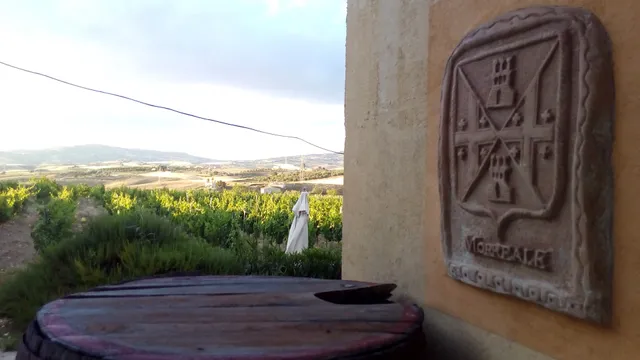 Casa Vinicola Morreale - Vini Favara Agrigento - Vino Grillo Siciliano Nero d'Avola