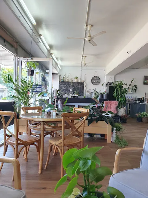 Ai's Cafe (Asian Cafe & Grocers)