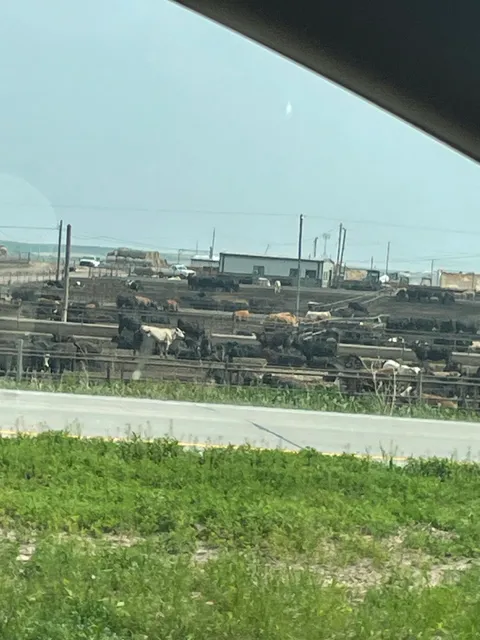 Northwest Cattle Feeders