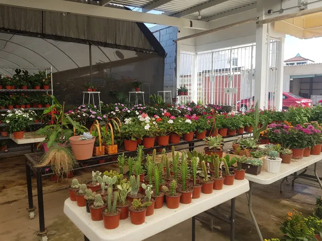 Boutique vivero Flora Café