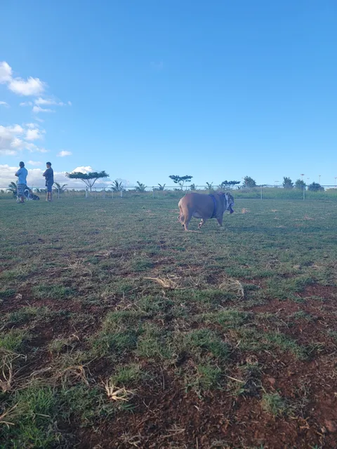 Patsy T. Mink Central O'ahu Dog Park