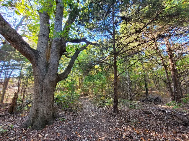 Spring Creek Park Preserve
