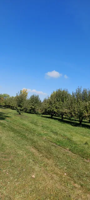 Cidrerie Verger PB711