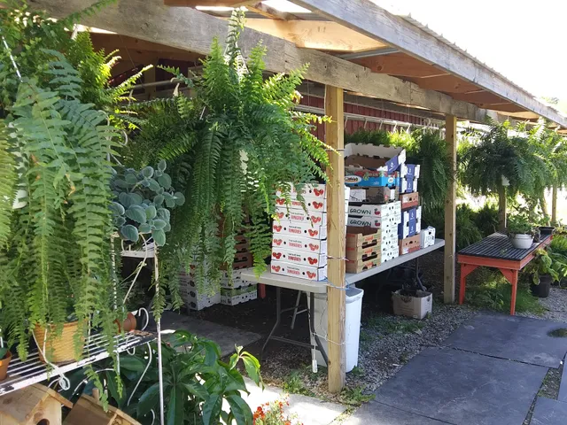 Lavern's Country Market