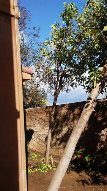 Brisa Del Mar Apartments