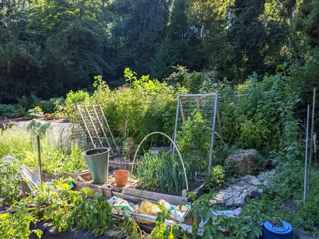 Colman Park P-Patch Community Garden