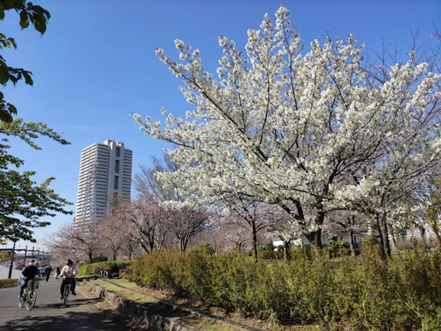 Ojima Komatsugawa Park Parking Lot