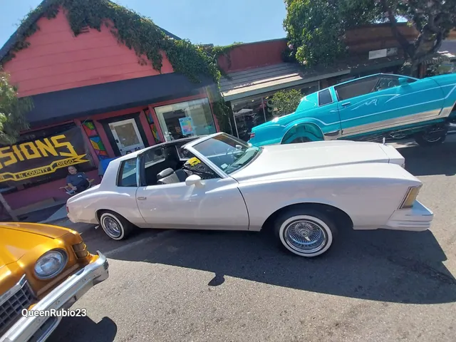 Blue Heron Gallery and Blue Heron Auctions LLC