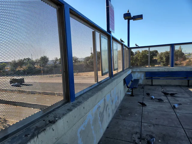 Watt Ave & I-80 Lrt (SB)