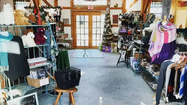 Lavender Hill Farm Alpacas