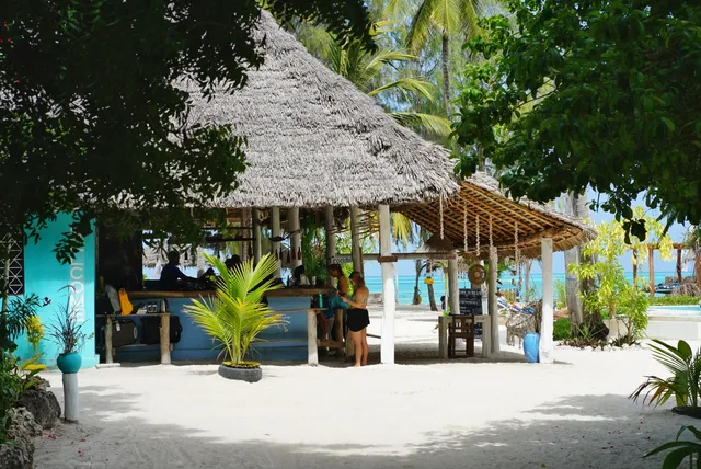 New Teddy's on the Beach / Drink Eat Sleep