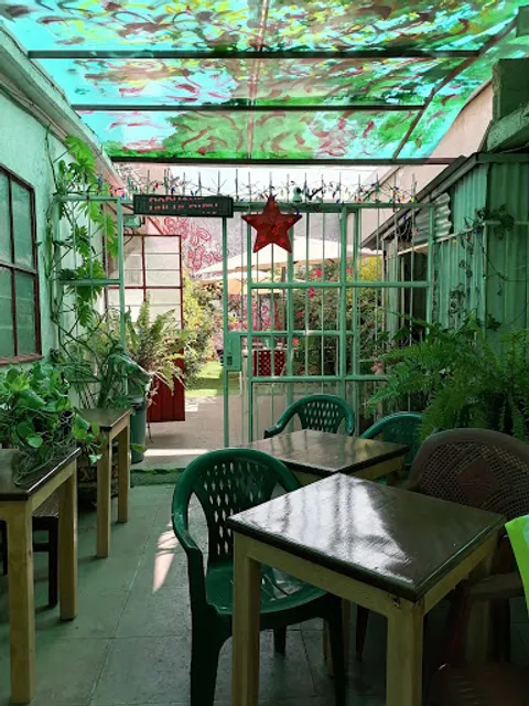 RED COFFEE MX es MR TRADEMARK