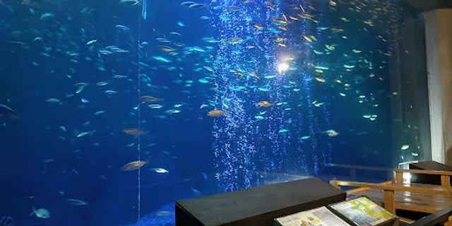 海洋館