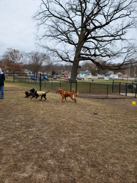 Dog Park Association of Greater Lafayette