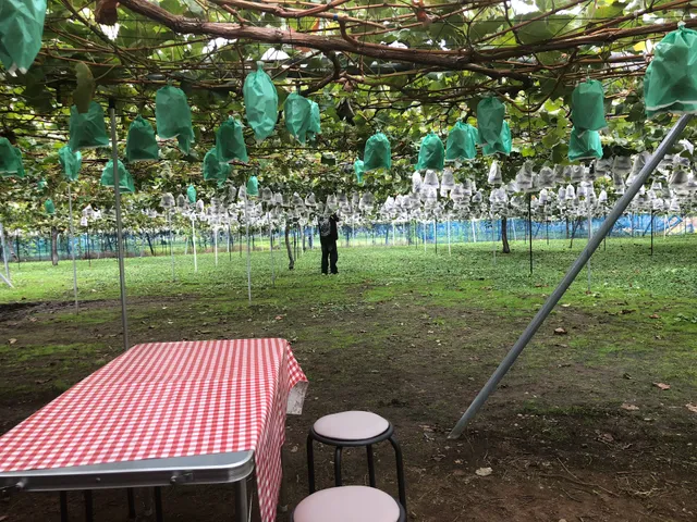 野の香ぶどう園